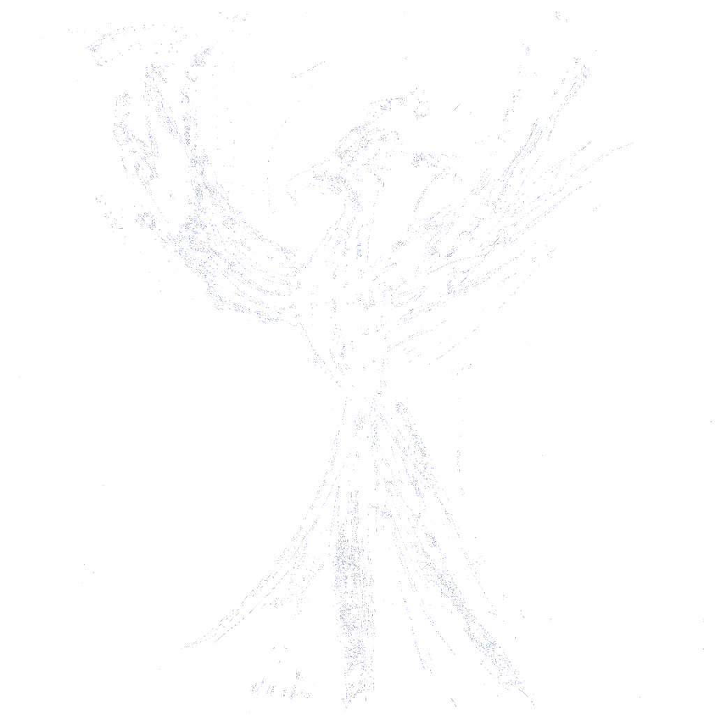 decoration